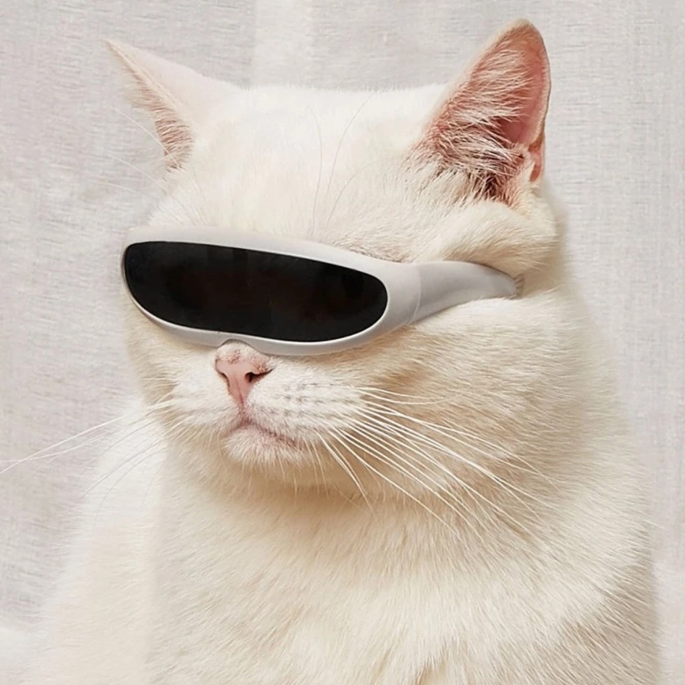🐈‍⬛ Adorable Kitty Cat Uni- Lease Shield Sun Glasses 🐈‍⬛